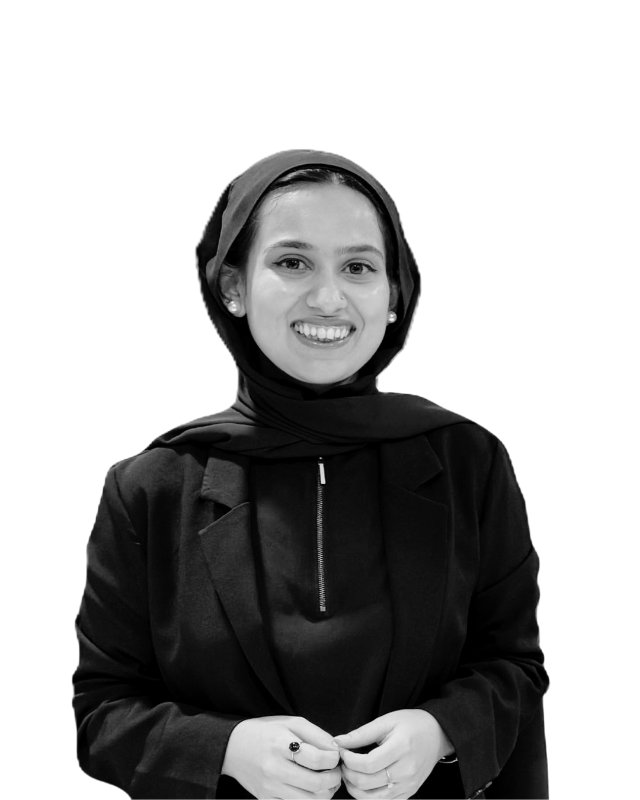 Bushra A., Senior Associate at Somerset Consulting